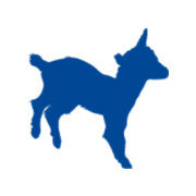 Kabritausa.com